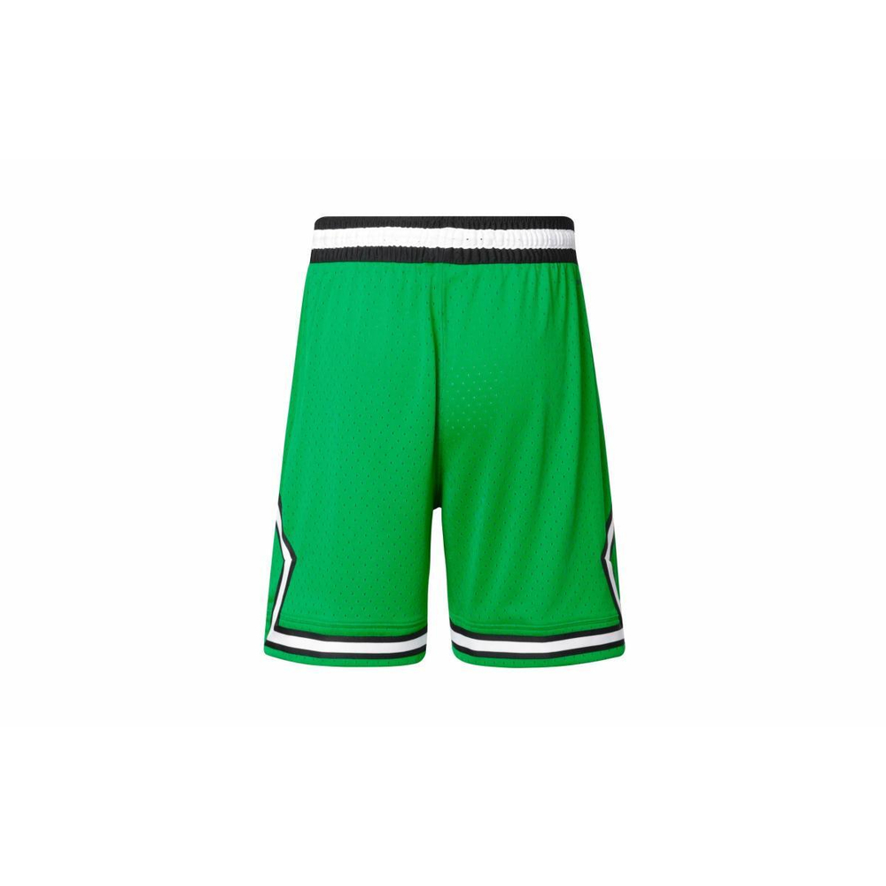 Шорты Jordan Logo, DX1487-310