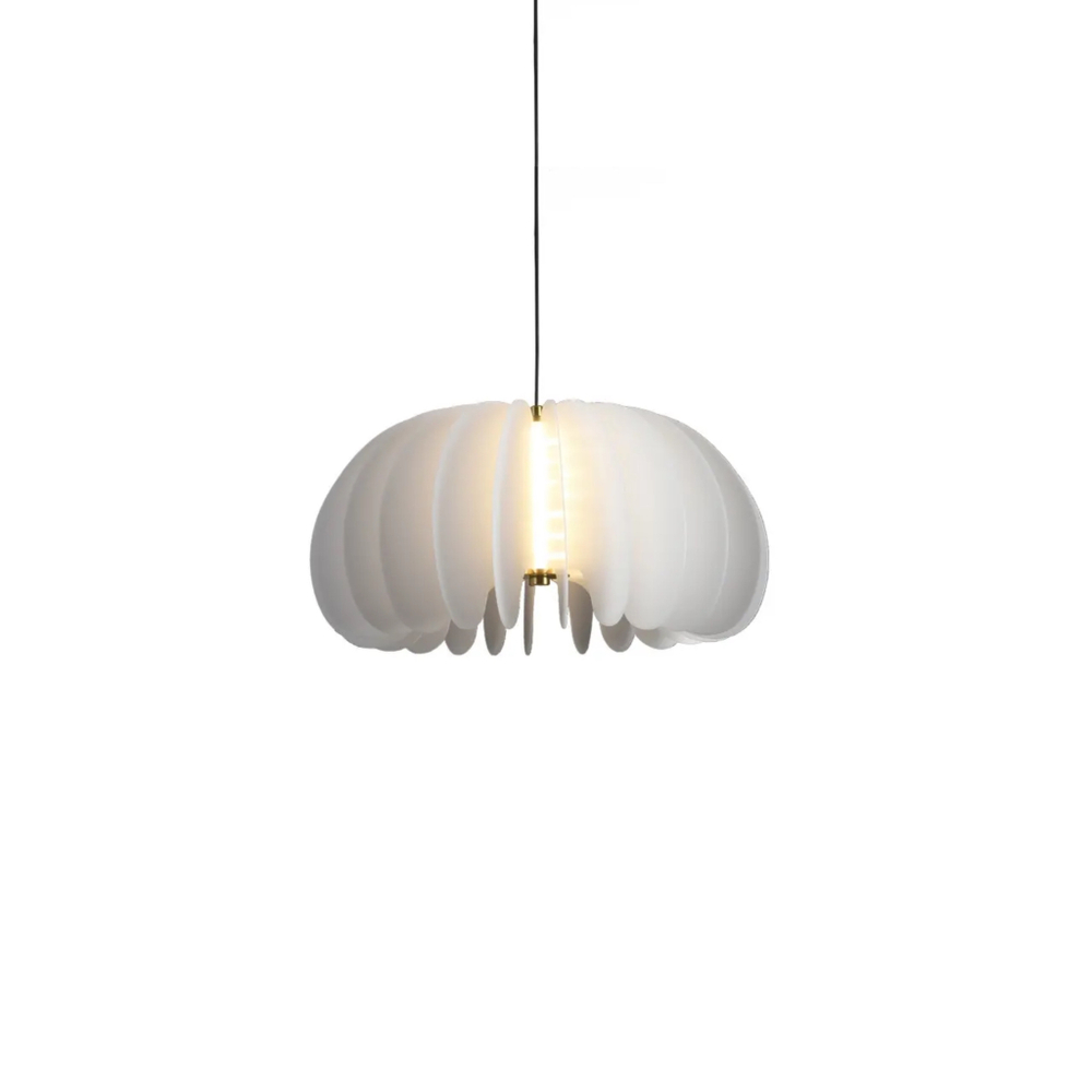 Pendant design lamp Barbel