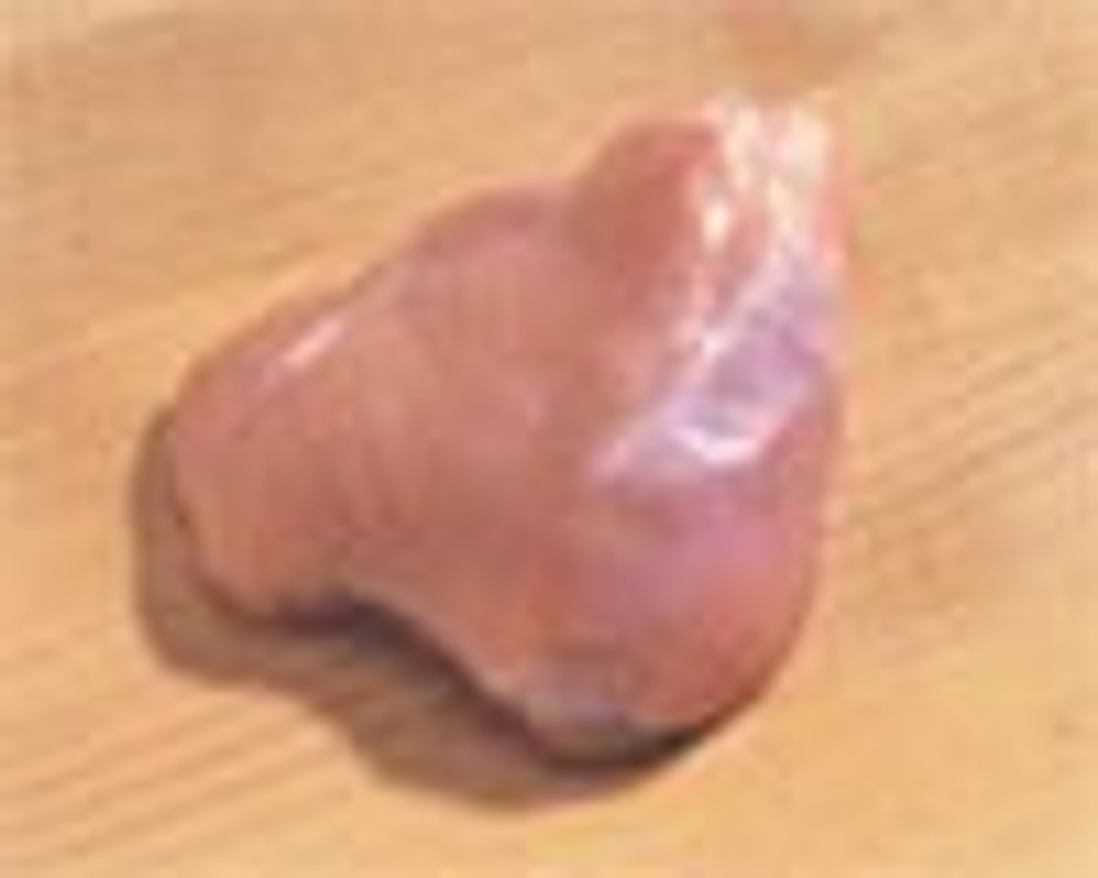 Мясо курицы - Мясо ножки бройлера без костей и кожи (Boneless, Skinless Broiler Leg Meat)