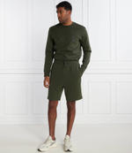 Шорты Headlo BOSS GREEN - зеленый(50506120)