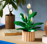 Конструктор LEGO Botanicals 11504 лего Спатифиллум, декоративный и реалистичный