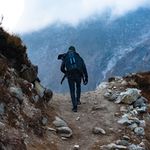 Tenba Cineluxe Backpack 24