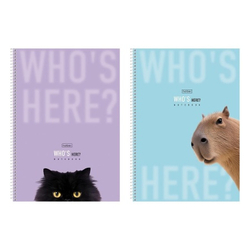 ac046195aaf40d6748dfdf84483f4b3b