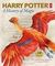 Harry Potter - A History of Magic : The Book of the Exhibition