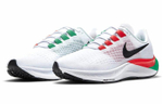 Кроссовки Nike Pegasus 37 Eliud Kipchoge (Женская размерная сетка)