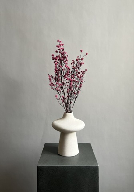 Стилингия розовая