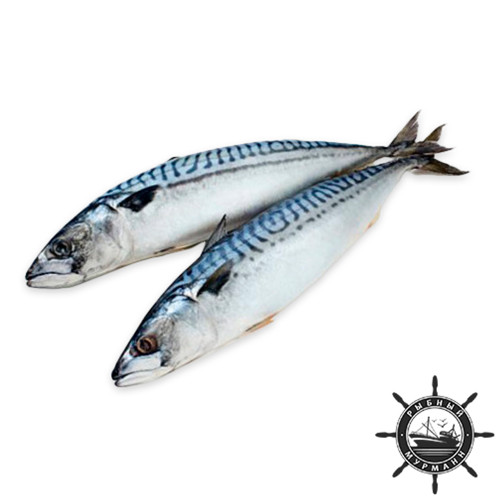 Скумбрия (400-600), 5 кг