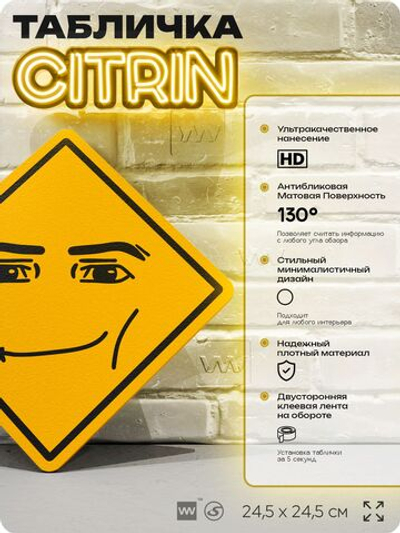 Табличка мем "Мужское лицо из Роблокс" шуточная прикольная табличка на дверь и стену, для офиса и дома, декоративный знак, 24,5х24,5 см, пластиковая, Айдентика Технолоджи