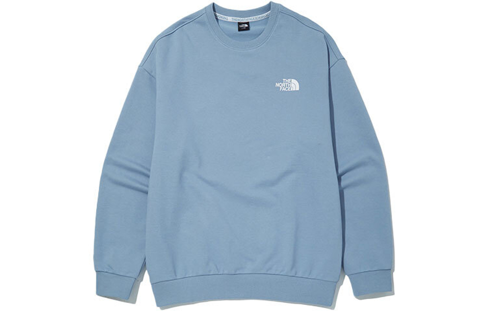 Толстовки THE NORTH FACE SS22, NM5MN01D