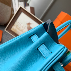 Hermes Birkin 25
