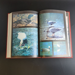 Книга "Красная книга РСФСР". Москва, Россельхозидат 1983 год СССР