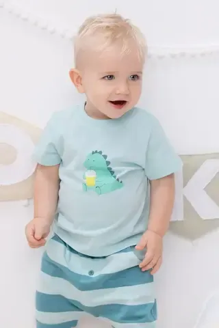 фуфайка  для мальчика  КР 302053/морозный шалфей