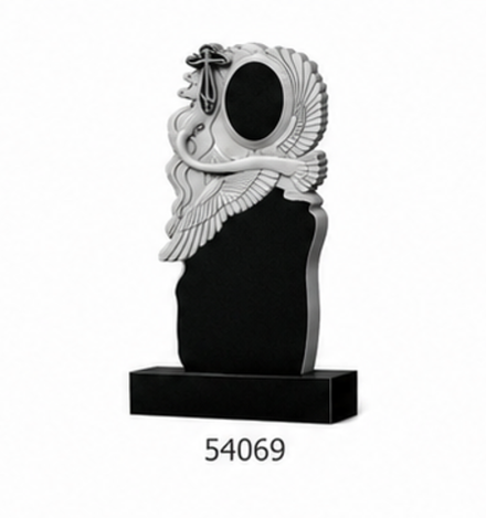 54069