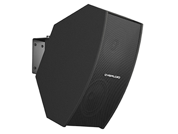 CVGAUDIO AXE5:8BL-DANTE – активная двухполосная акустическая система