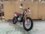 ALMOTOR 300сс