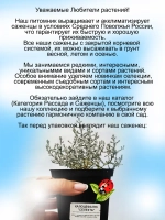 Калоцефалус Селекта