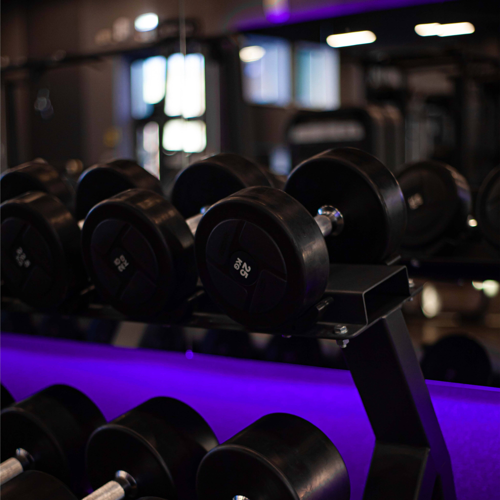 Гантельный ряд силовой (шаг 2,5 кг, 10 пар) PROFI-FIT 2,5-25 кг