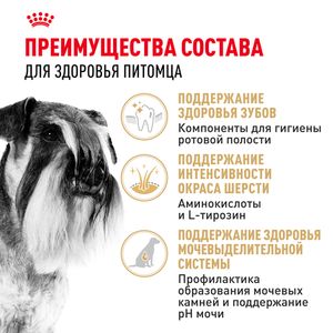 Сухой корм Royal Canin Miniature Schnauzer Adult для взрослых собак породы Миниатюрный Шнауцер от 10 месяцев