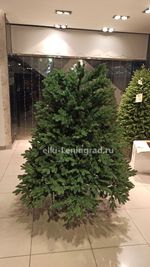 Искусственная ель «Монтерей» (Литая хвоя) 210 см / 2.1 м