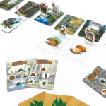 Лесные истории