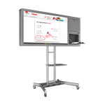 Интерактивная панель Horizon Scan c документ-камерой 55"