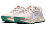 Кроссовки Nike Pegasus Trail 3 (Женская размерная сетка)