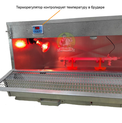 Брудер из оцинкованной стали на 70 цыплят