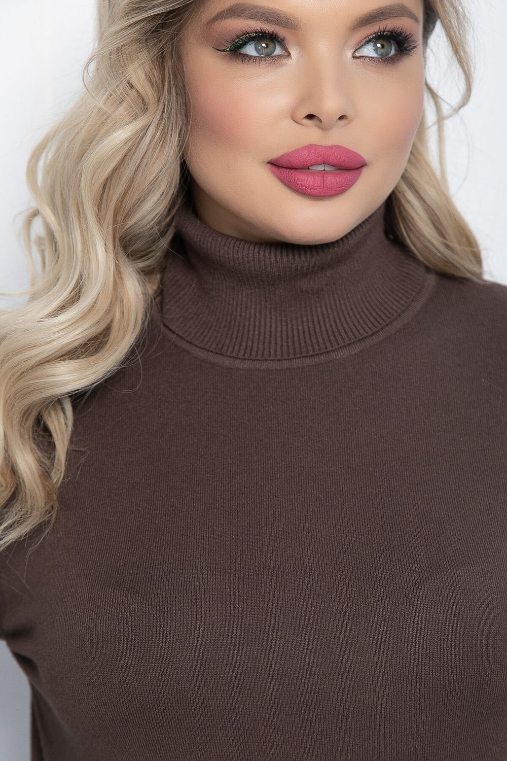 Водолазка Зимняя история (шоколад) Б14535-20М LT Collection