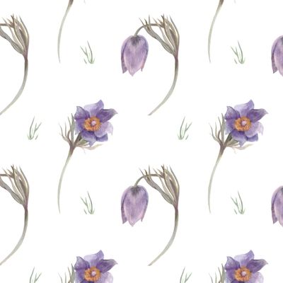 цветы подснежников