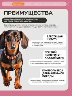 Корм сухой для взрослых собак породы Такса (стандартная), с индейкой, 12 кг, QUATTRO