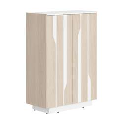 Шкаф СФ-574202  900х430х1305 LINE