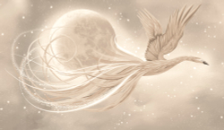 Коллекция Animality