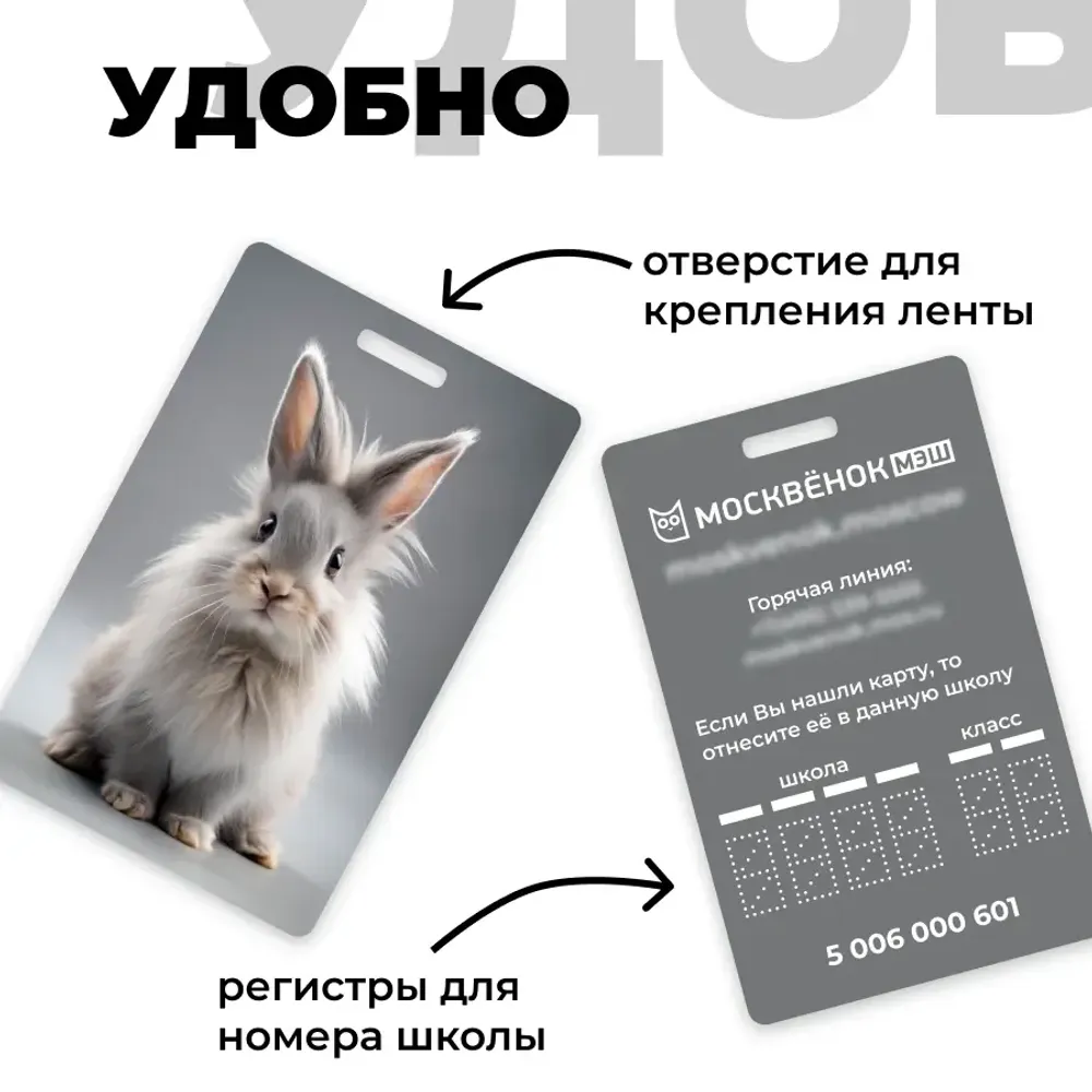 Карта Москвёнок BUNNY №7 (проход + питание)