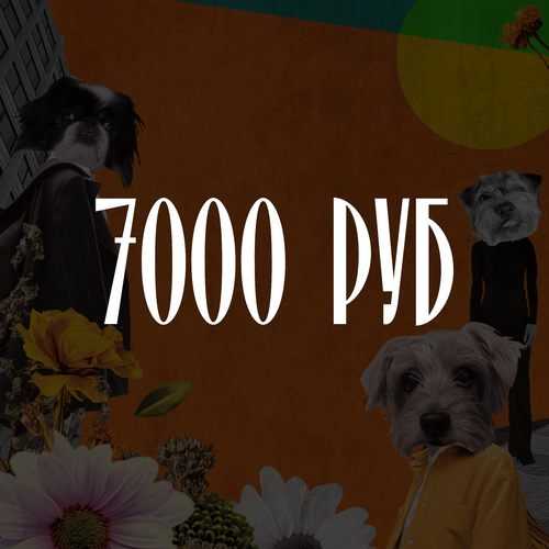 Электронный подарочный сертификат HOOG 7 000 руб.