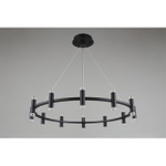 Подвесная светодиодная люстра Aployt Klarcia APL.037.03.120