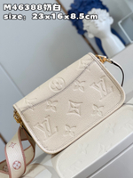 Louis Vuitton Diane