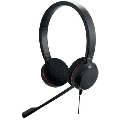 Наушники Jabra EVOLVE 20 Stereo MS, USB-C (4999-823-189)