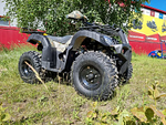 Квадроцикл PROMAX ATV 250 (2025)