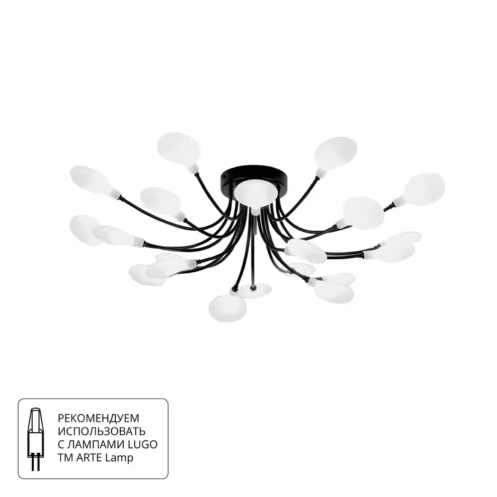 Потолочная люстра Arte lamp