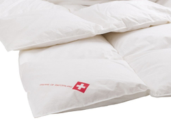 Одеяло пуховое Dreams of Switzerland Дримс Медиум фото