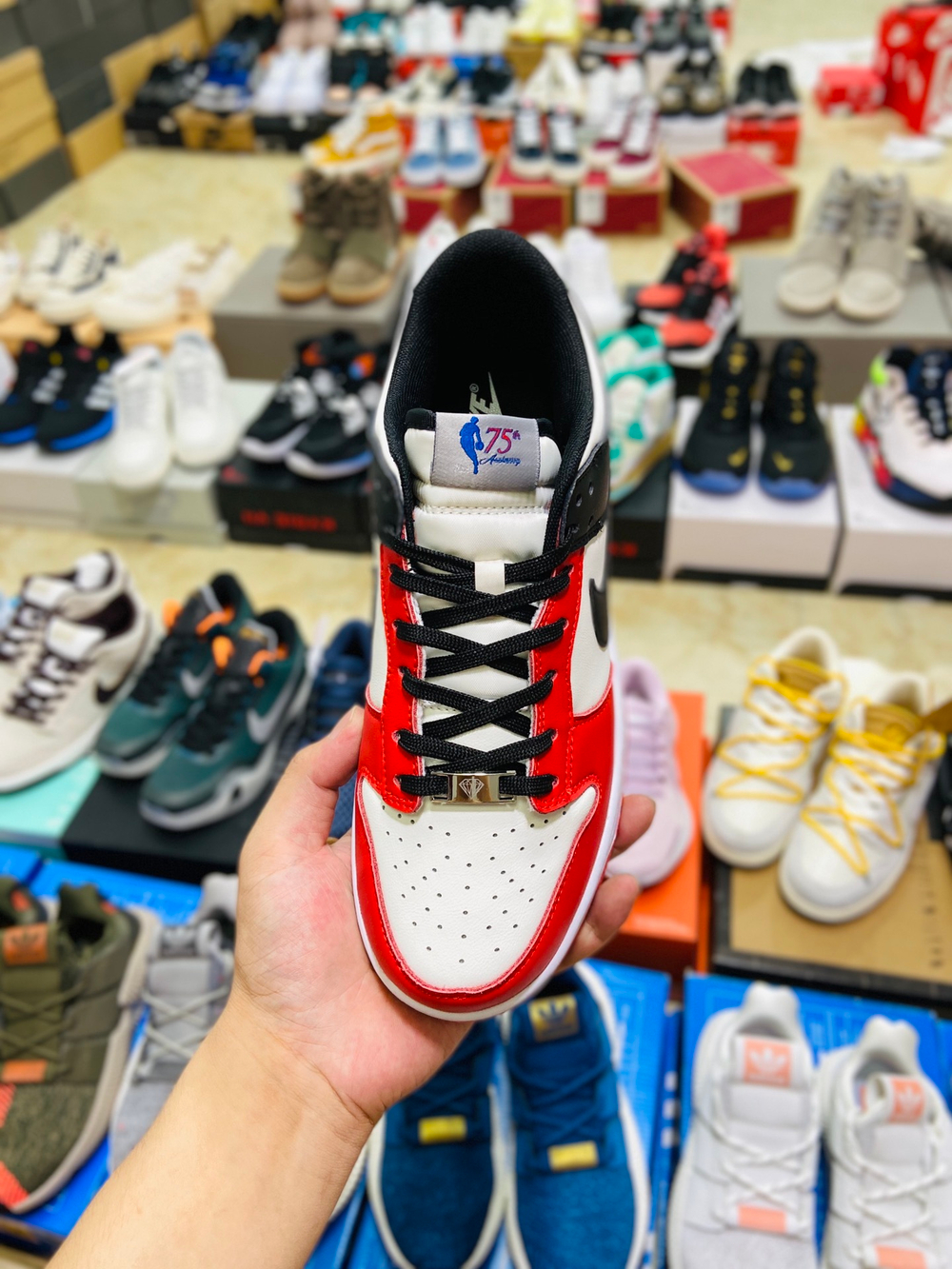 Nike Dunk Low "EMB NBA 75th Anniversary Chicago"