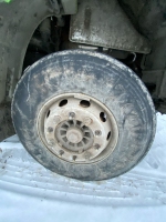 Shacman (Shaanxi) SX* 8x4 Самосвал SX33186W366C (Дизельный, 10,8 л, 441 л.с., МТ)