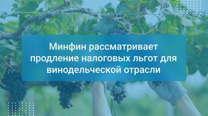 Минфин рассматривает продление налоговых льгот для винодельческой отрасли