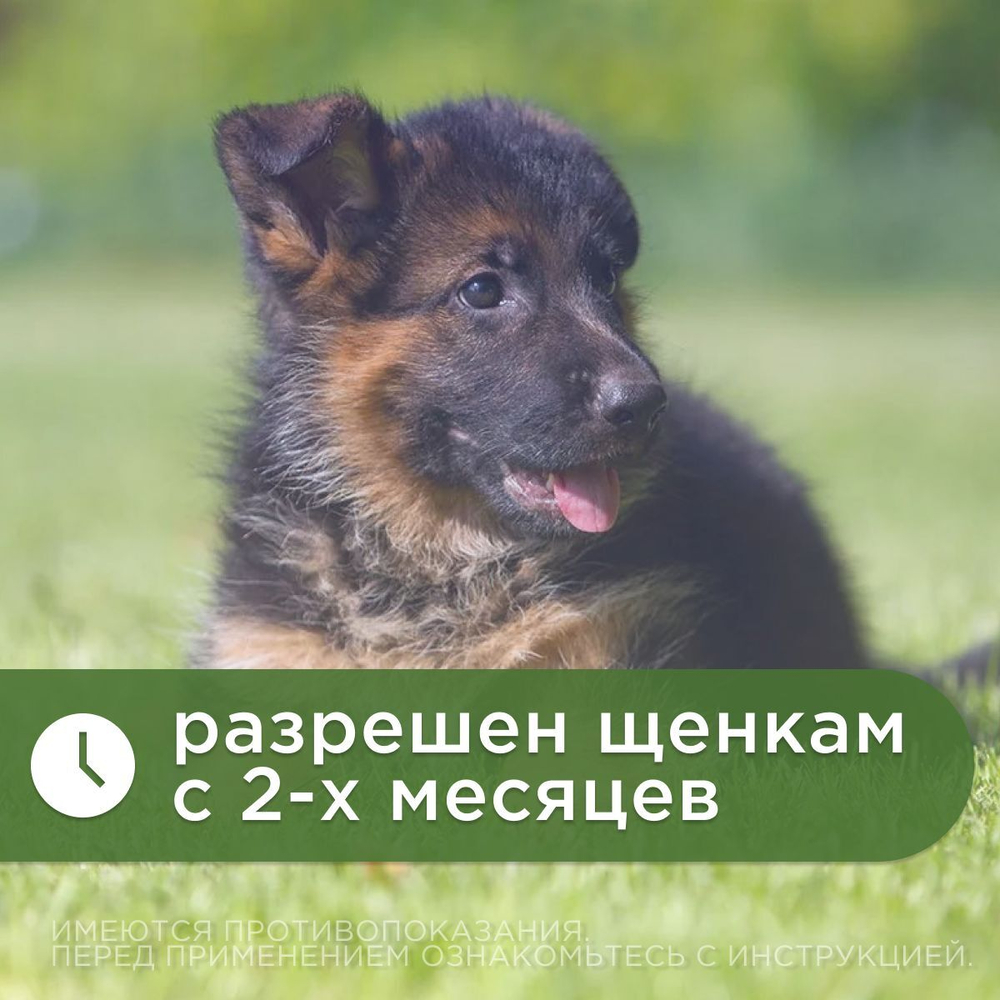Антигельминтик Спот-он АВЗ Диронет для щенков, 4 пипетки