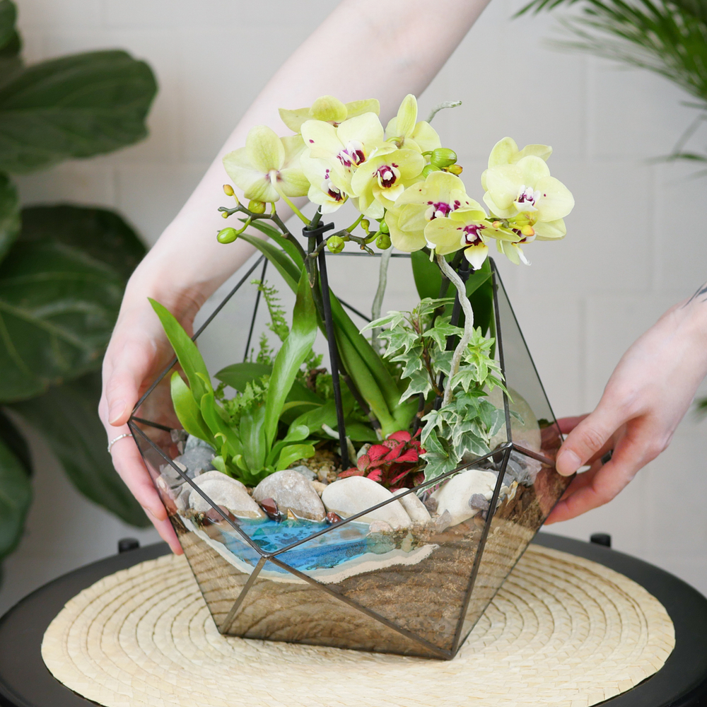 Готовый флорариум с орхидеей Лайм Икос L с озером