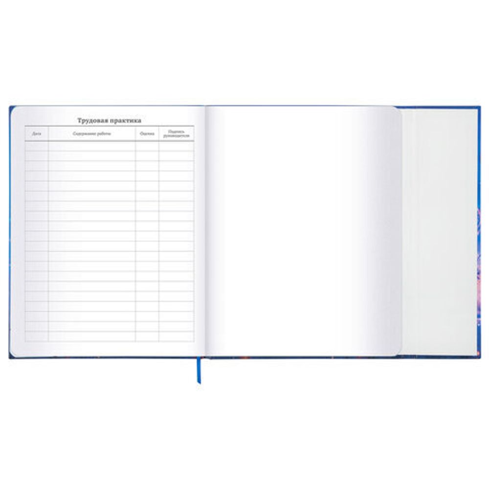 Дневник 1-11 класс 48 л., твердый, BRAUBERG, матовая ламинация, магнитный клапан, закладка-ляссе, с подсказом, "Magic", 107243