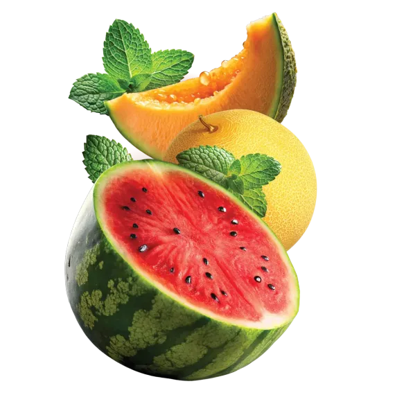 HIT - Big Berry Classic (АРБУЗ, ДЫНЯ, МЯТА) (30г)