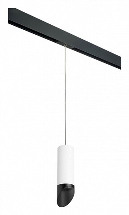 Подвесной светильник Lightstar Rullo PRORP48637