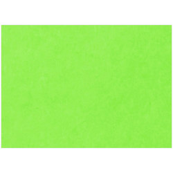 Картон цветной А3 тонированный Зеленый 200 г/м2 (КЦА3зел.)