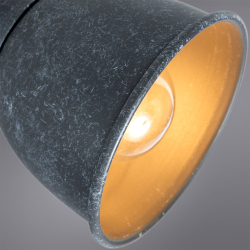 Светильник потолочный Arte Lamp Jovi A1677PL-2GY